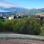 τα πέτρινα στο σκεπαστό *